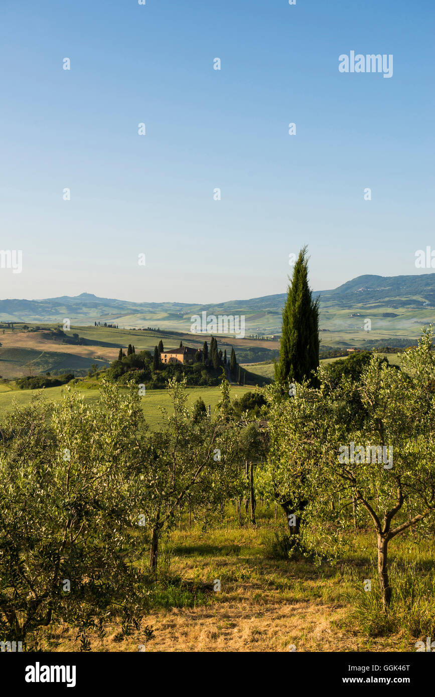 landscape near San Quirico d`Orcia, Val d`Orcia, province of Siena, Tuscany, Italy, UNESCO World Heritage Stock Photo